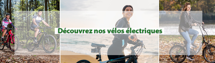 Vélos de montagne électriques, Vélos de terre électriques, Vélos de trekking électriques, Vélos de ville électriques, Vélos pliants électriques